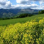 Skalka