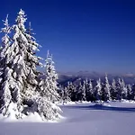 Skalka *