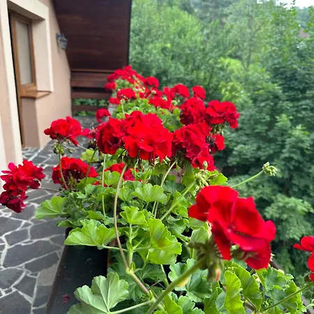 Skalka منزل ريفي Mýto pod Ďumbierom