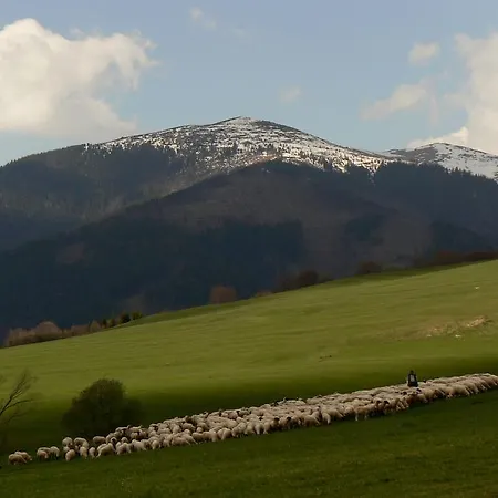 Skalka Mýto pod Ďumbierom