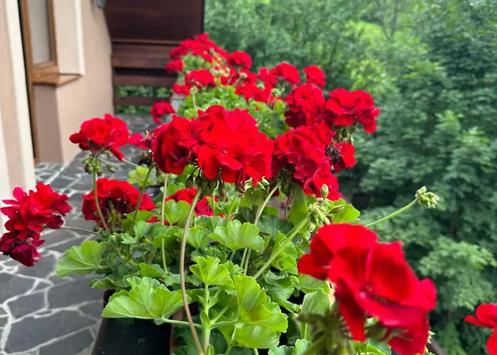 Skalka Casa rural Mýto pod Ďumbierom